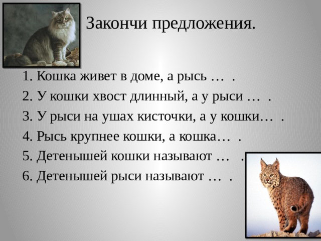 Закончи предложения. 1. Кошка живет в доме, а рысь … . 2. У кошки хвост длинный, а у рыси … . 3. У рыси на ушах кисточки, а у кошки… . 4. Рысь крупнее кошки, а кошка… . 5. Детенышей кошки называют … . 6. Детенышей рыси называют … .
