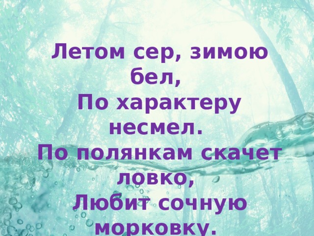 Летом сер, зимою бел, По характеру несмел. По полянкам скачет ловко, Любит сочную морковку.