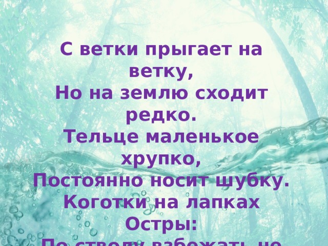 С ветки прыгает на ветку,  Но на землю сходит редко.  Тельце маленькое хрупко,  Постоянно носит шубку.  Коготки на лапках Остры:  По стволу взбежать не просто!  По ветвям летит, как стрелка,  Эта рыженькая … .