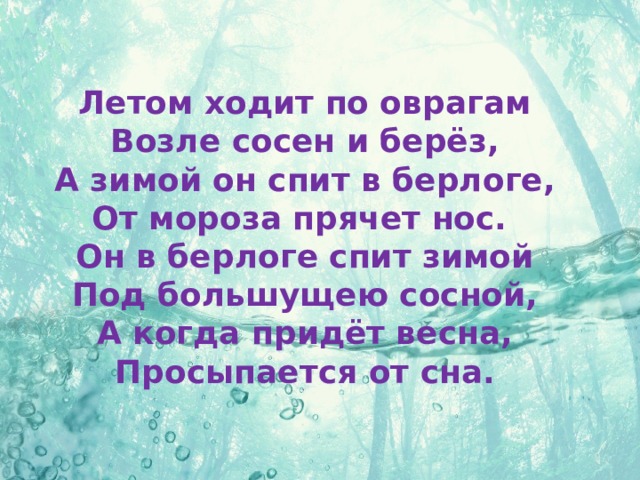 Летом ходит по оврагам  Возле сосен и берёз,  А зимой он спит в берлоге,  От мороза прячет нос.   Он в берлоге спит зимой  Под большущею сосной,  А когда придёт весна,  Просыпается от сна.