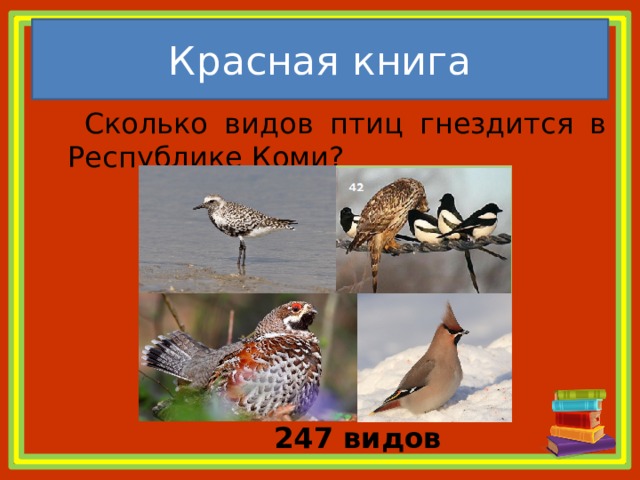 Красная книга   Сколько видов птиц гнездится в Республике Коми? 247 видов