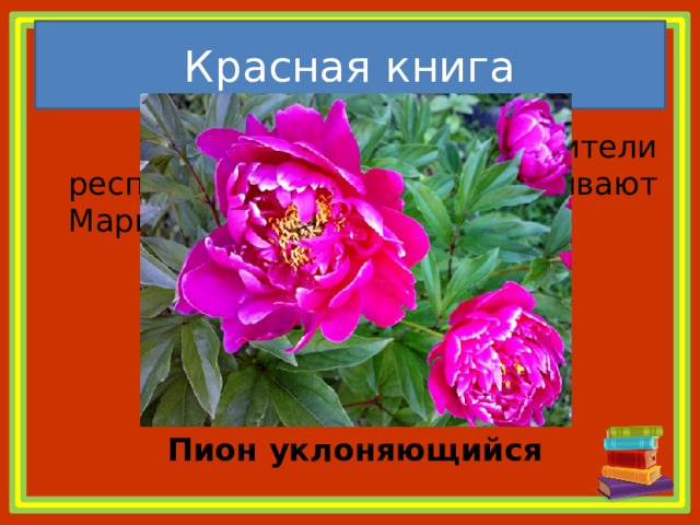 Красная книга  Какое растение жители республики Коми называют Марьямоль? Пион уклоняющийся