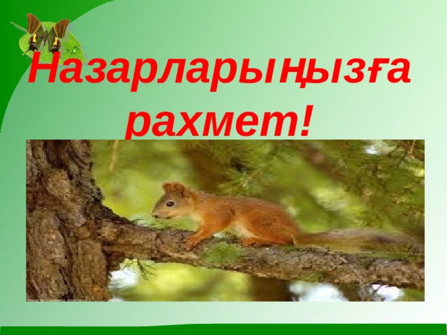 Назарларыңызға рахмет!