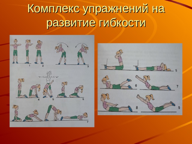 Комплекс упражнений на развитие гибкости