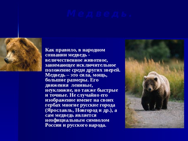 Медведь.  Как правило, в народном сознании медведь - величественное животное, занимающее исключительное положение среди других зверей. Медведь – это сила, мощь, большие размеры. Его движения ленивые, неуклюжие, но также быстрые и точные. Не случайно его изображение имеют на своих гербах многие русские города (Ярославль, Новгород и др.), а сам медведь является неофициальным символом России и русского народа.