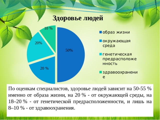 10 % 20% 50% 20 % По оценкам специалистов, здоровье людей зависит на 50-55 % именно от образа жизни, на 20 % - от окружающей среды, на 18–20 % - от генетической предрасположенности, и лишь на 8–10 % - от здравоохранения.