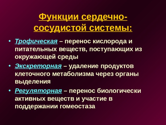 Функции сердечно-сосудистой системы: