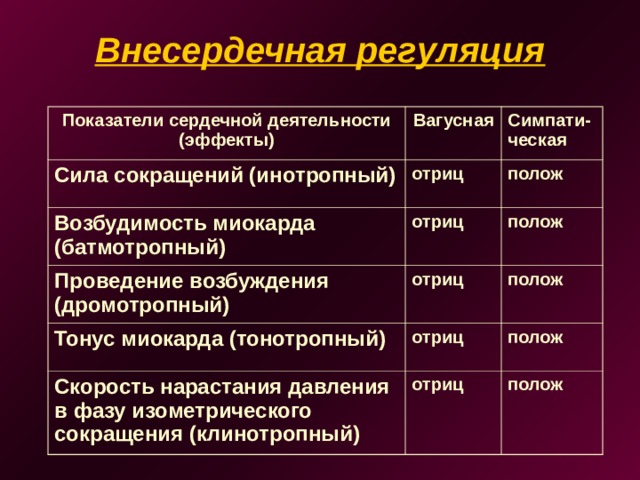 Внесердечная регуляция   Показатели сердечной деятельности (эффекты) Вагусная Сила сокращений (инотропный) Симпати-ческая отриц Возбудимость миокарда (батмотропный) отриц полож Проведение возбуждения (дромотропный) Тонус миокарда (тонотропный) полож отриц отриц полож Скорость нарастания давления в фазу изометрического сокращения (клинотропный)  полож отриц полож