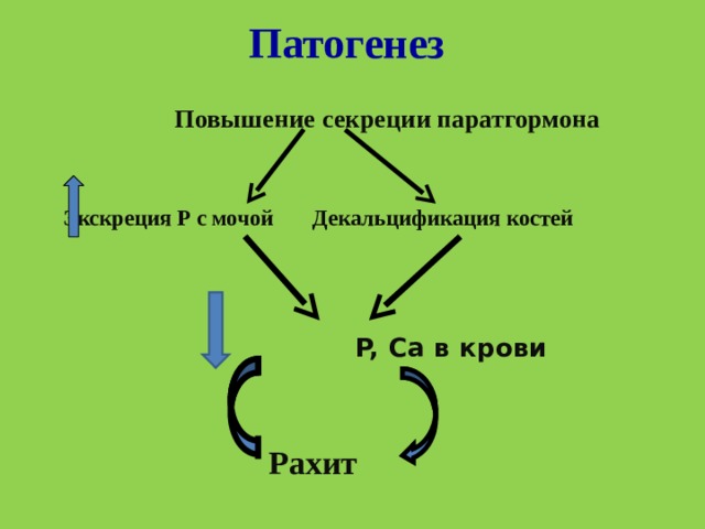 Патогенез  Повышение секреции паратгормона    Экскреция Р с мочой  Декальцификация костей   P, Ca в крови     Рахит