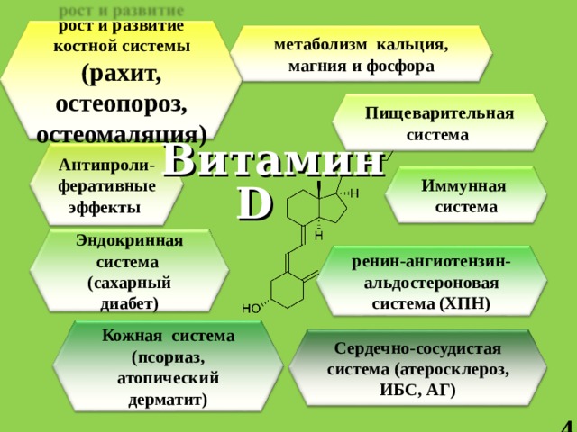 метаболизм кальция, магния и фосфора рост и развитие костной системы (рахит, остеопороз, остеомаляция) Пищеварительная система Витамин  D Антипроли- феративные эффекты Иммунная система Эндокринная система (сахарный диабет) ренин-ангиотензин-альдостероновая система (ХПН) Кожная система (псориаз, атопический дерматит) Сердечно-сосудистая система (атеросклероз, ИБС, АГ) 4 7