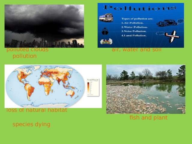 polluted clouds air, water and soil pollution loss of natural habitat  fish and plant species dying