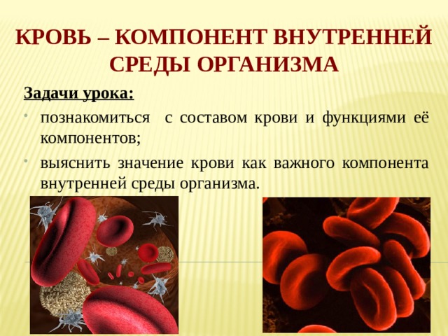 Кровь – компонент внутренней среды организма Задачи урока:
