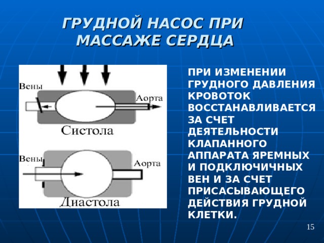 ГРУДНОЙ НАСОС  ПРИ МАССАЖЕ СЕРДЦА ПРИ ИЗМЕНЕНИИ ГРУДНОГО ДАВЛЕНИЯ КРОВОТОК ВОССТАНАВЛИВАЕТСЯ ЗА СЧЕТ ДЕЯТЕЛЬНОСТИ КЛАПАННОГО АППАРАТА ЯРЕМНЫХ И ПОДКЛЮЧИЧНЫХ ВЕН И ЗА СЧЕТ ПРИСАСЫВАЮЩЕГО ДЕЙСТВИЯ ГРУДНОЙ КЛЕТКИ.  15