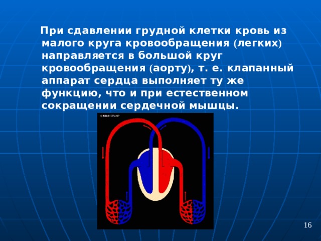 При сдавлении грудной клетки кровь из малого круга кровообращения ( легких ) направляется в большой круг кровообращения ( аорту ) , т. е. клапанный аппарат сердца выполняет ту же функцию, что и при естественном сокращении сердечной мышцы. 16