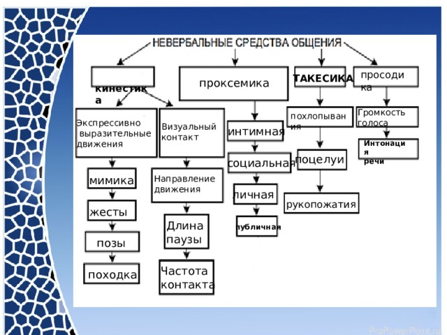 кинестика просодика ТАКЕСИКА проксемика Громкость голоса похлопывания Экспрессивно  выразительные движения Визуальный контакт интимная Интонация речи поцелуи социальная мимика Направление движения личная рукопожатия жесты Длина паузы публичная позы Частота контакта походка