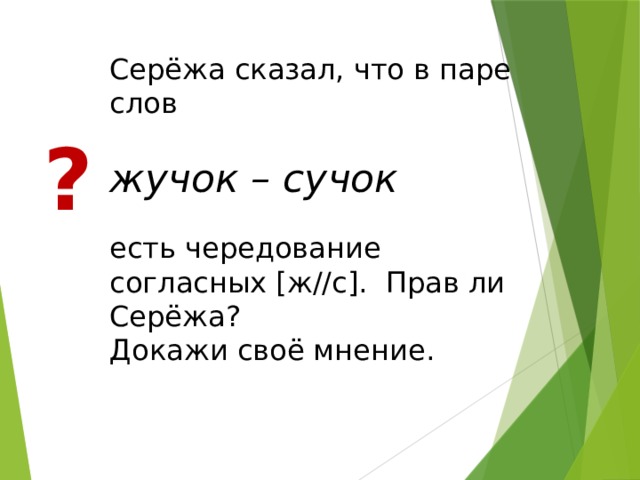 Серёжа сказал, что в паре слов жучок – сучок  есть чередование согласных [ж//с]. Прав ли Серёжа? Докажи своё мнение. ?