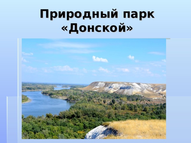 Природный парк «Донской»