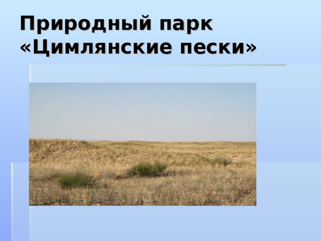 Природный парк «Цимлянские пески»