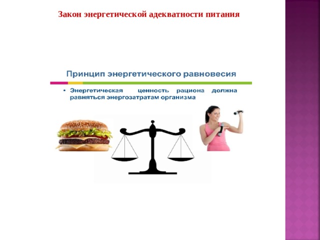Закон энергетической адекватности питания