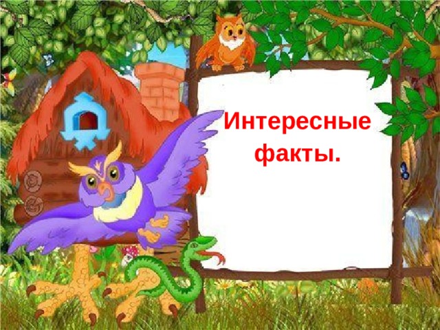 Интересные факты.