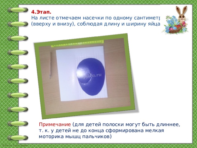 4.Этап.  На листе отмечаем насечки по одному сантиметру (вверху и внизу), соблюдая длину и ширину яйца.   Примечание  (для детей полоски могут быть длиннее, т. к. у детей не до конца сформирована мелкая моторика мышц пальчиков)