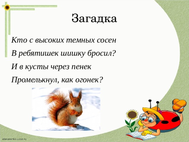 Загадка Кто с высоких темных сосен В ребятишек шишку бросил? И в кусты через пенек Промелькнул, как огонек?