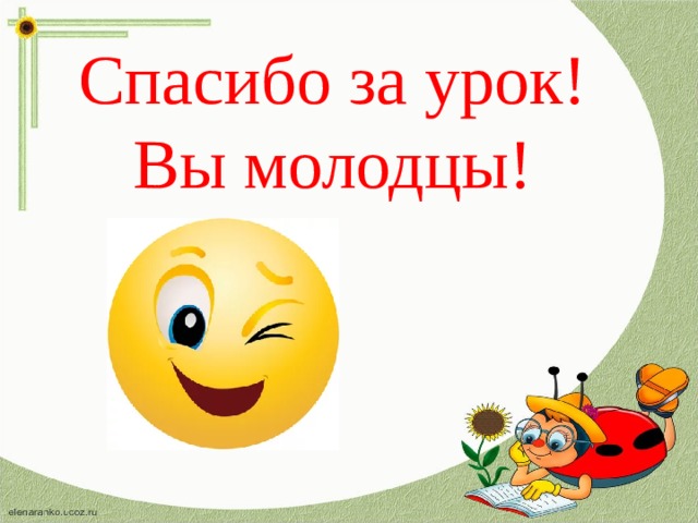 Спасибо за урок! Вы молодцы!