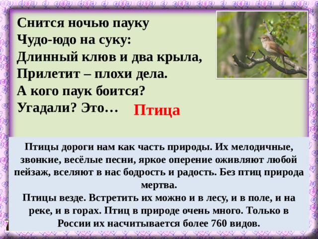 Снится ночью пауку Чудо-юдо на суку: Длинный клюв и два крыла, Прилетит – плохи дела. А кого паук боится? Угадали? Это… Птица Птицы дороги нам как часть природы. Их мелодичные, звонкие, весёлые песни, яркое оперение оживляют любой пейзаж, вселяют в нас бодрость и радость. Без птиц природа мертва. Птицы везде. Встретить их можно и в лесу, и в поле, и на реке, и в горах. Птиц в природе очень много. Только в России их насчитывается более 760 видов.