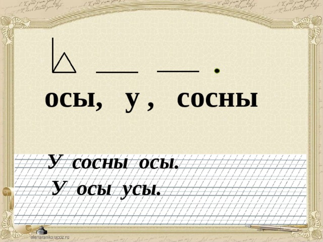 осы, у , сосны  У сосны осы.  У осы усы.