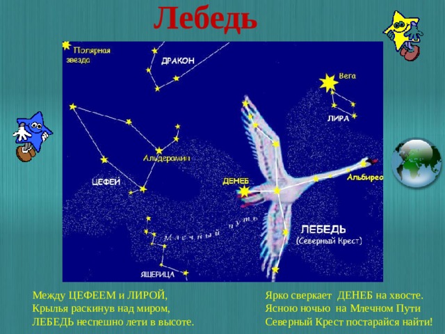 Лебедь Между ЦЕФЕЕМ и ЛИРОЙ, Ярко сверкает ДЕНЕБ на хвосте. Крылья раскинув над миром, Ясною ночью на Млечном Пути ЛЕБЕДЬ неспешно лети в высоте. Северный Крест постарайся найти!