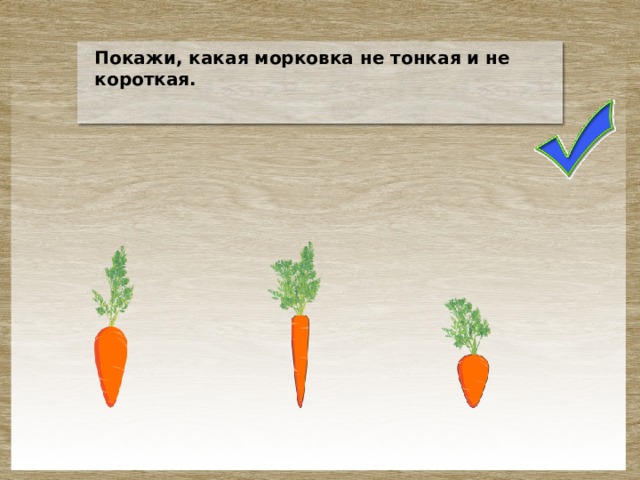 Покажи, какая морковка не тонкая и не короткая.