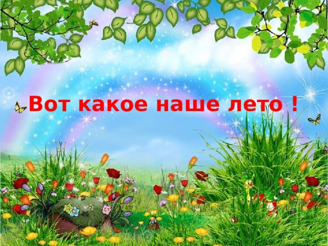 Вот какое наше лето !