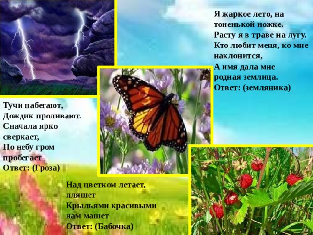 Я жаркое лето, на тоненькой ножке.  Расту я в траве на лугу. Кто любит меня, ко мне наклонится, А имя дала мне родная землица. Ответ: (земляника)   Тучи набегают, Дождик проливают. Сначала ярко сверкает, По небу гром пробегает Ответ: (Гроза) Над цветком летает, пляшет Крыльями красивыми нам машет Ответ: (Бабочка)