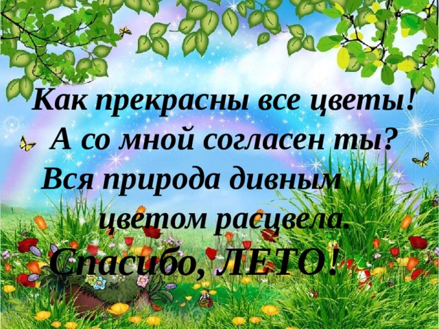 Как прекрасны все цветы! А со мной согласен ты?  Вся природа дивным цветом расцвела.   Спасибо, ЛЕТО!