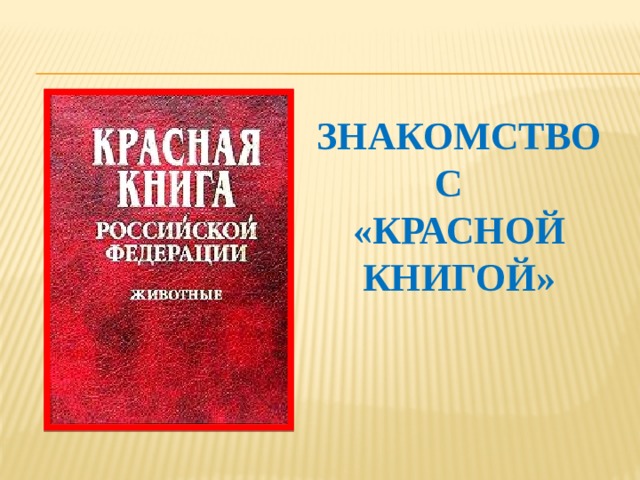 Знакомство с  «Красной книгой»