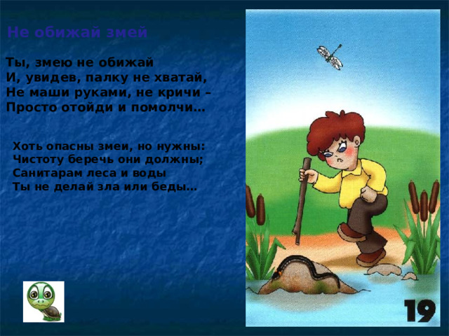 Не обижай змей Ты, змею не обижай И, увидев, палку не хватай, Не маши руками, не кричи – Просто отойди и помолчи… Хоть опасны змеи, но нужны: Чистоту беречь они должны; Санитарам леса и воды Ты не делай зла или беды…