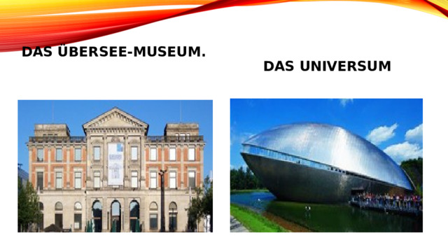 Das übersee-museum.  Das universum