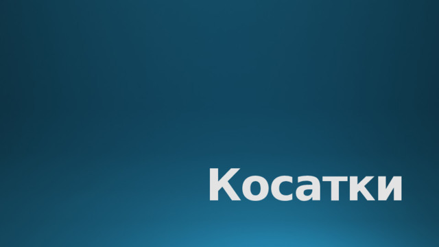 Косатки