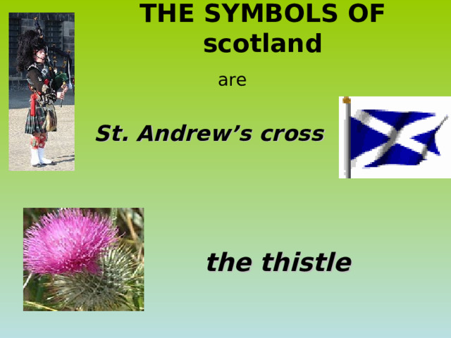 THE SYMBOLS OF scotland    are    St. Andrew’s cross   the thistle