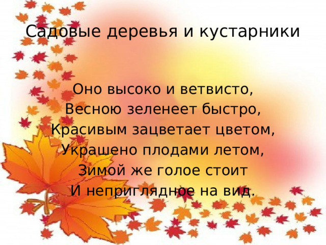 Садовые деревья и кустарники Оно высоко и ветвисто, Весною зеленеет быстро, Красивым зацветает цветом, Украшено плодами летом, Зимой же голое стоит И неприглядное на вид.