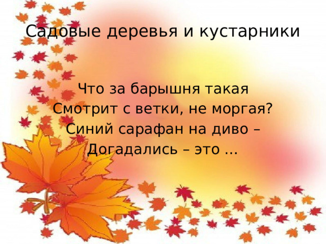 Садовые деревья и кустарники Что за барышня такая Смотрит с ветки, не моргая? Синий сарафан на диво – Догадались – это …