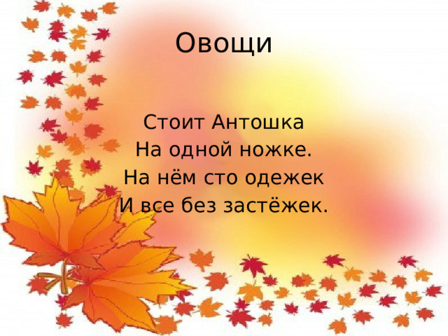 Овощи Стоит Антошка На одной ножке. На нём сто одежек И все без застёжек.