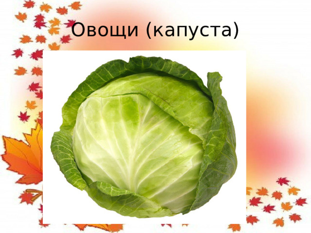 Овощи (капуста)