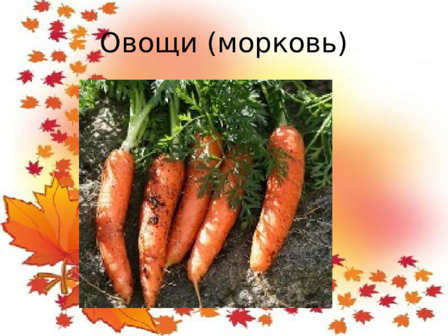 Овощи (морковь)