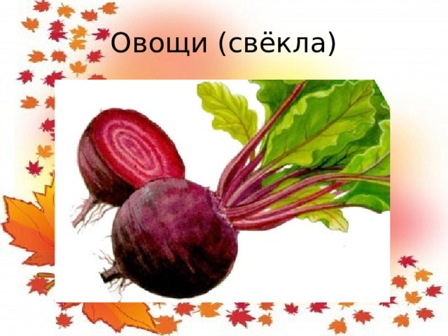 Овощи (свёкла)