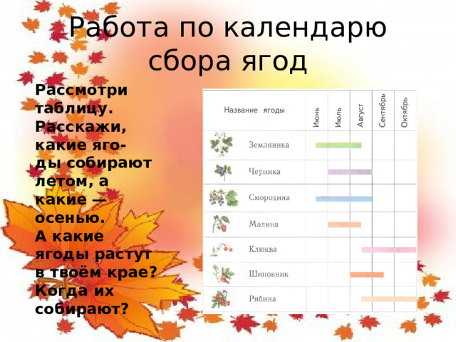 Работа по календарю сбора ягод Рассмотри таблицу. Расскажи, какие яго- ды собирают летом, а какие — осенью. А какие ягоды растут в твоём крае? Когда их собирают?