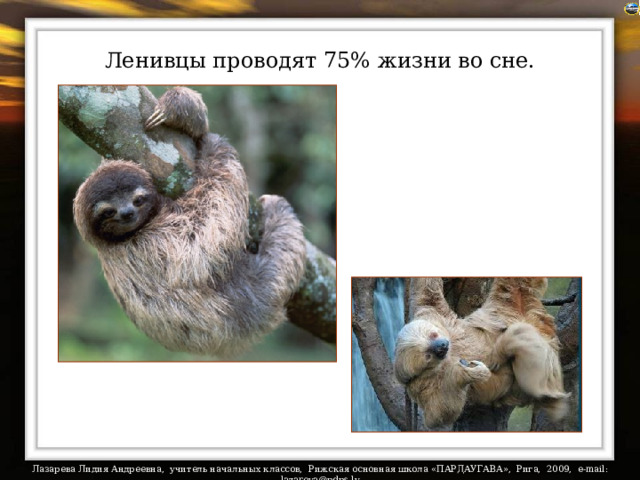 Ленивцы проводят 75% жизни во сне.