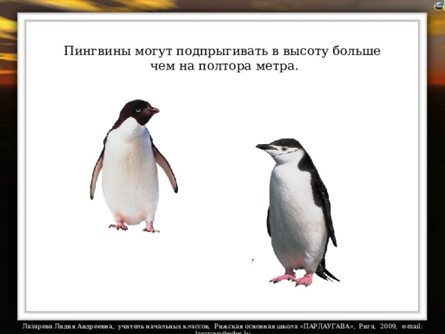 Пингвины могут подпрыгивать в высоту больше  чем на полтора метра.