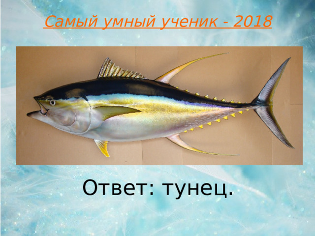 Самый умный ученик - 2018 Ответ: тунец .