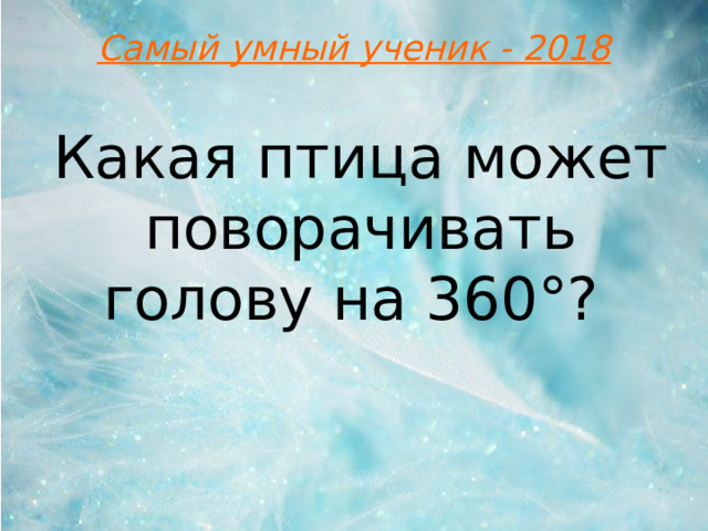 Самый умный ученик - 2018 Какая птица может поворачивать голову на 360°?